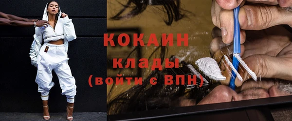 гашик Аркадак