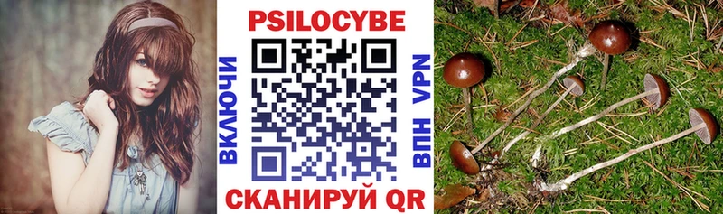 МЕГА зеркало  Воткинск  Псилоцибиновые грибы MAGIC MUSHROOMS 